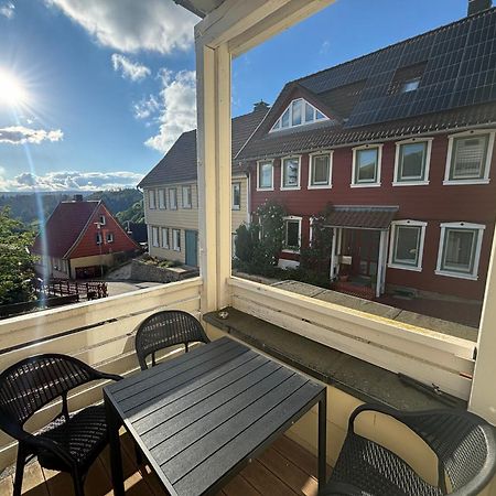 Ferienwohnung Donald Sankt Andreasberg Dış mekan fotoğraf