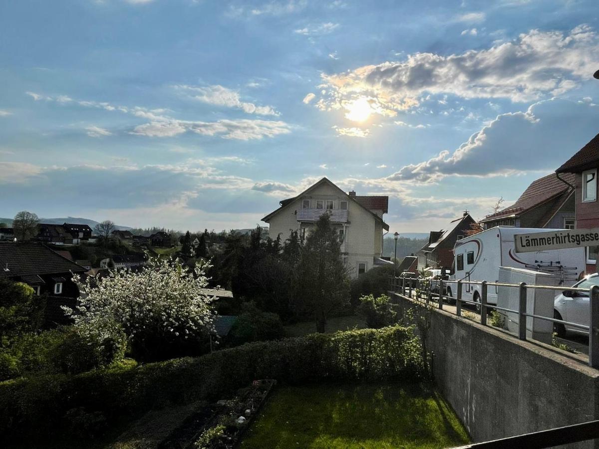 Ferienwohnung Donald Sankt Andreasberg Dış mekan fotoğraf
